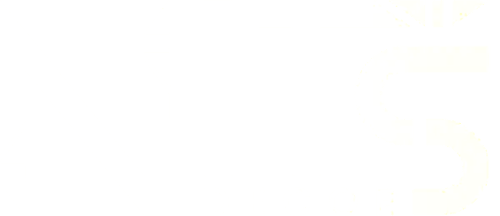NITS Logo PNG White